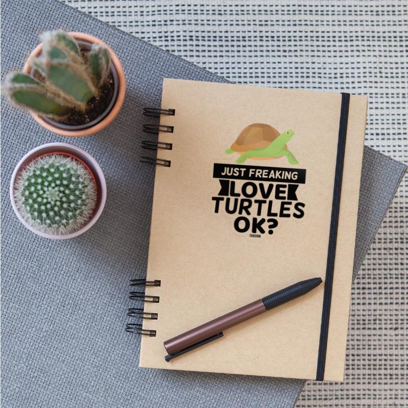 Sea turtle vet animal welfare