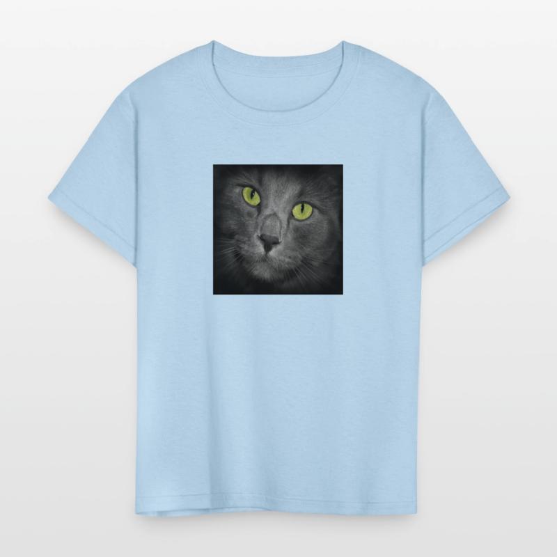 Square Gray Cat's Face Close Up Green Eyes Looking