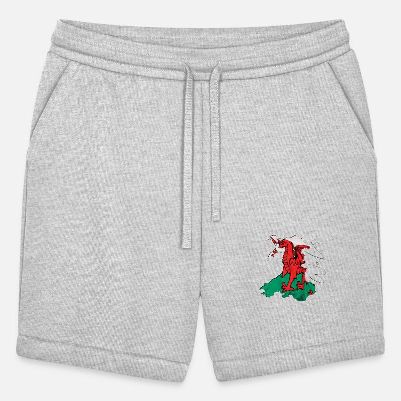 Wales Flag in Wales Map EN