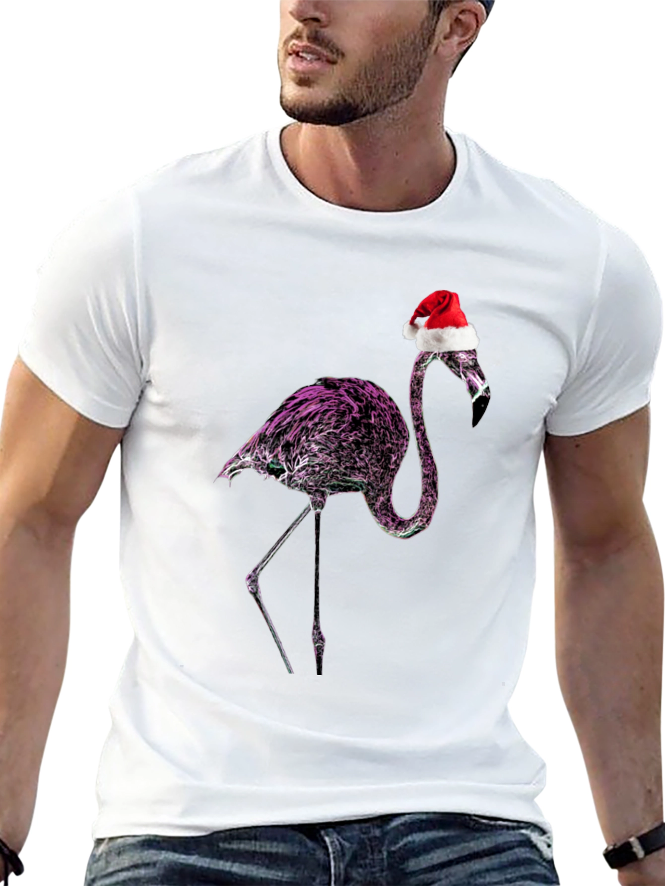 Flamingo Santa T-Shirt