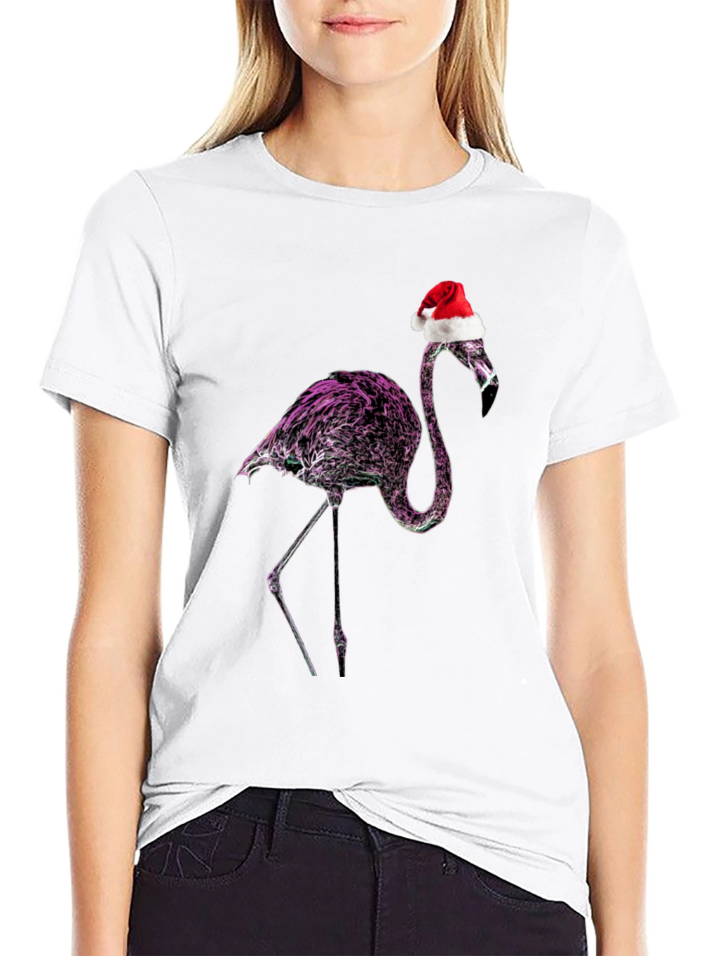 Flamingo Santa T-Shirt