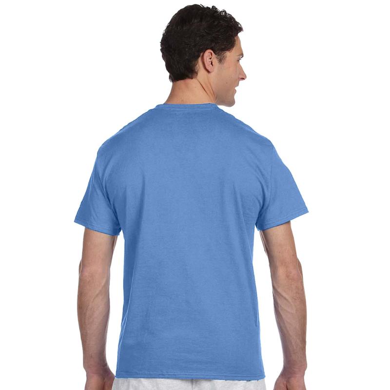 Storch, Bird, Birth, Pregnancy, Pregnant