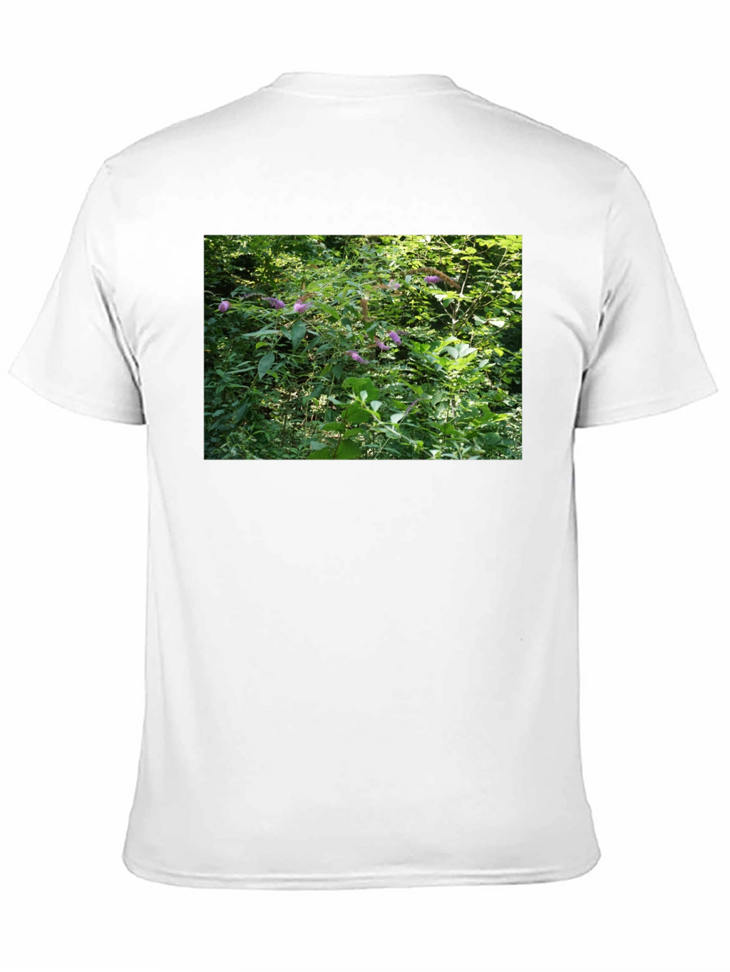 Nature Scene T-Shirt - Black