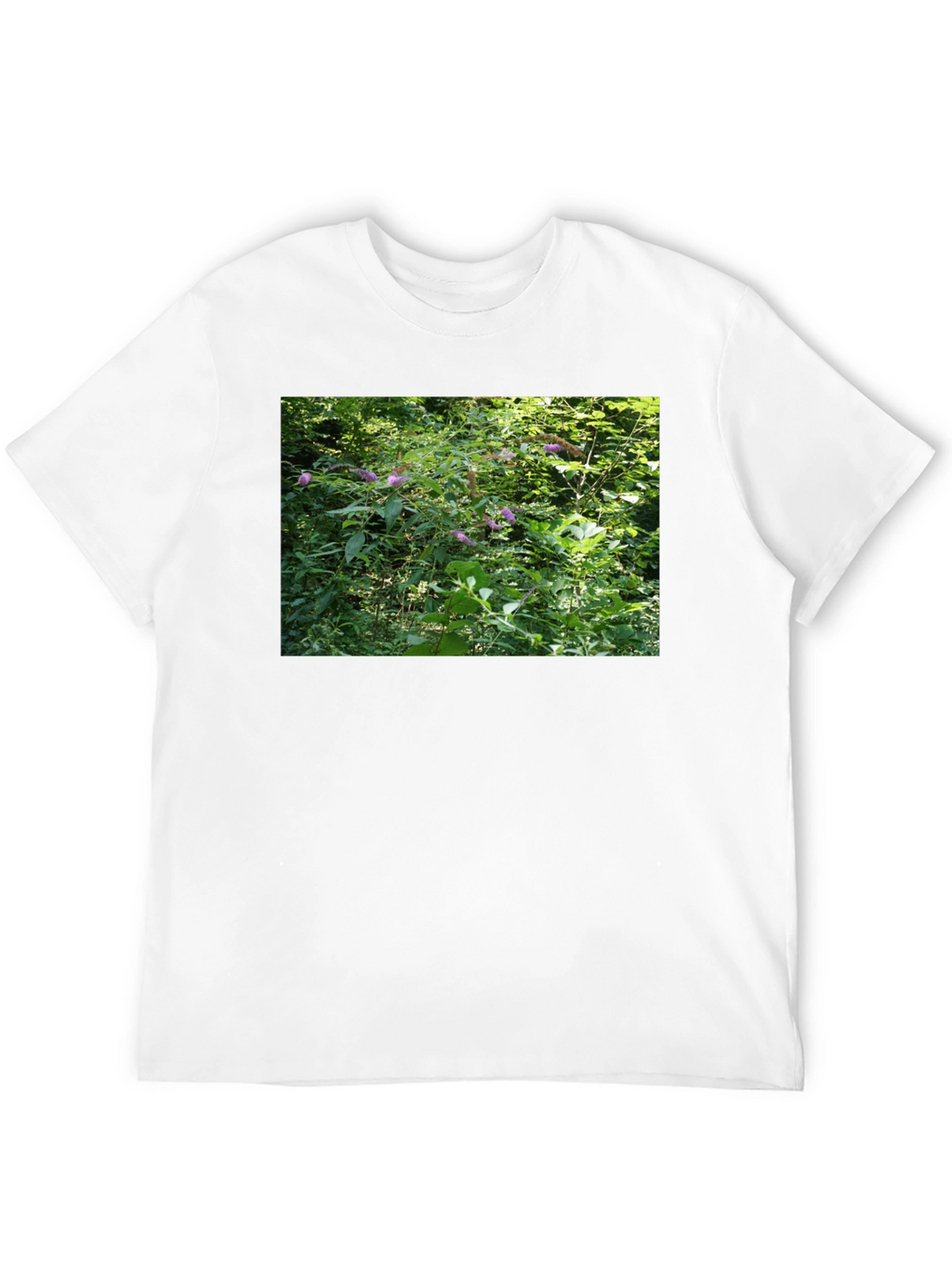 Nature Scene T-Shirt - Black