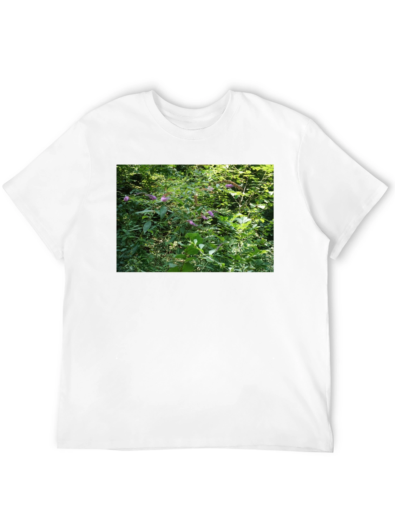 Nature Scene T-Shirt - Black