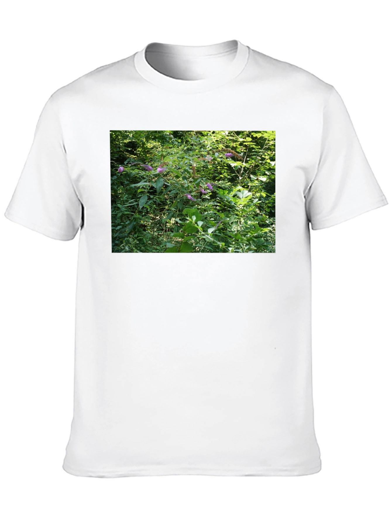 Nature Scene T-Shirt - Black