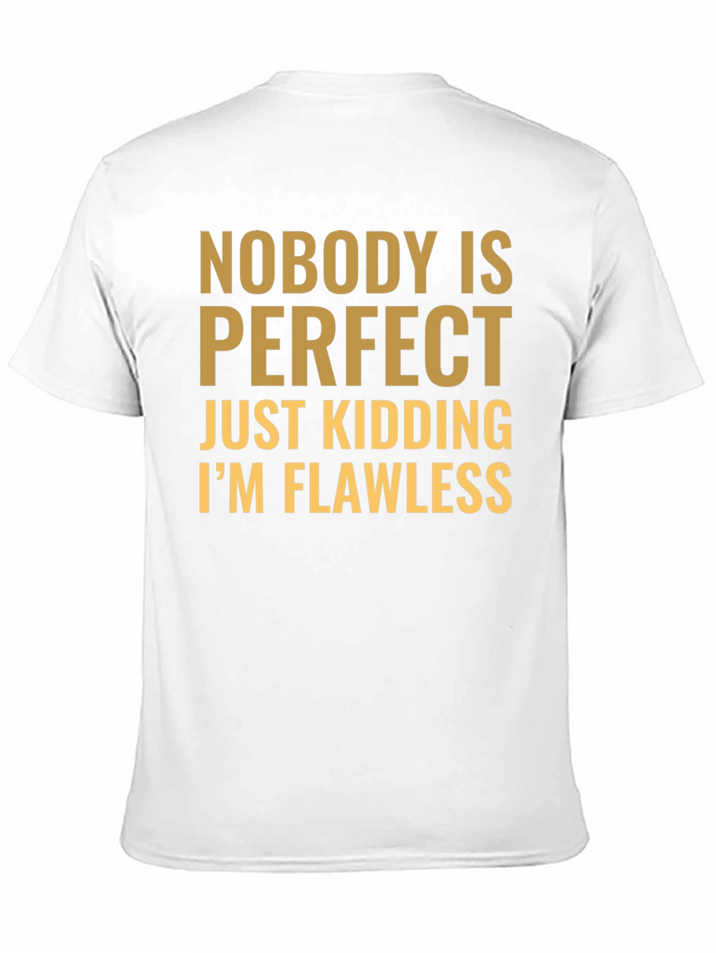 Funny Nobody is Perfect Graphic T-Shirt