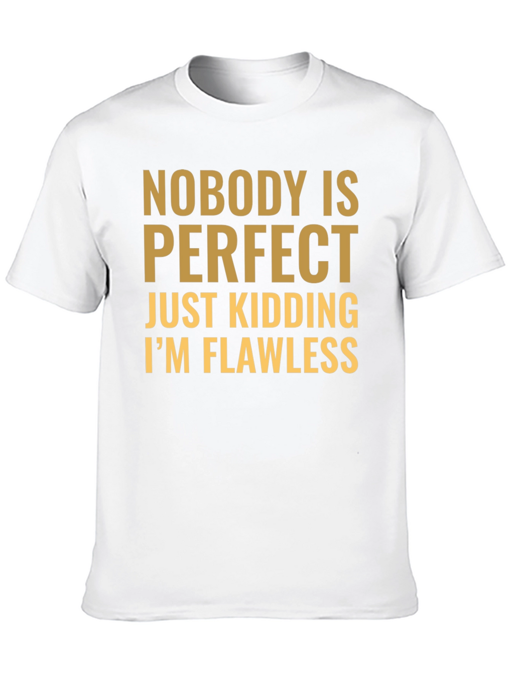 Funny Nobody is Perfect Graphic T-Shirt
