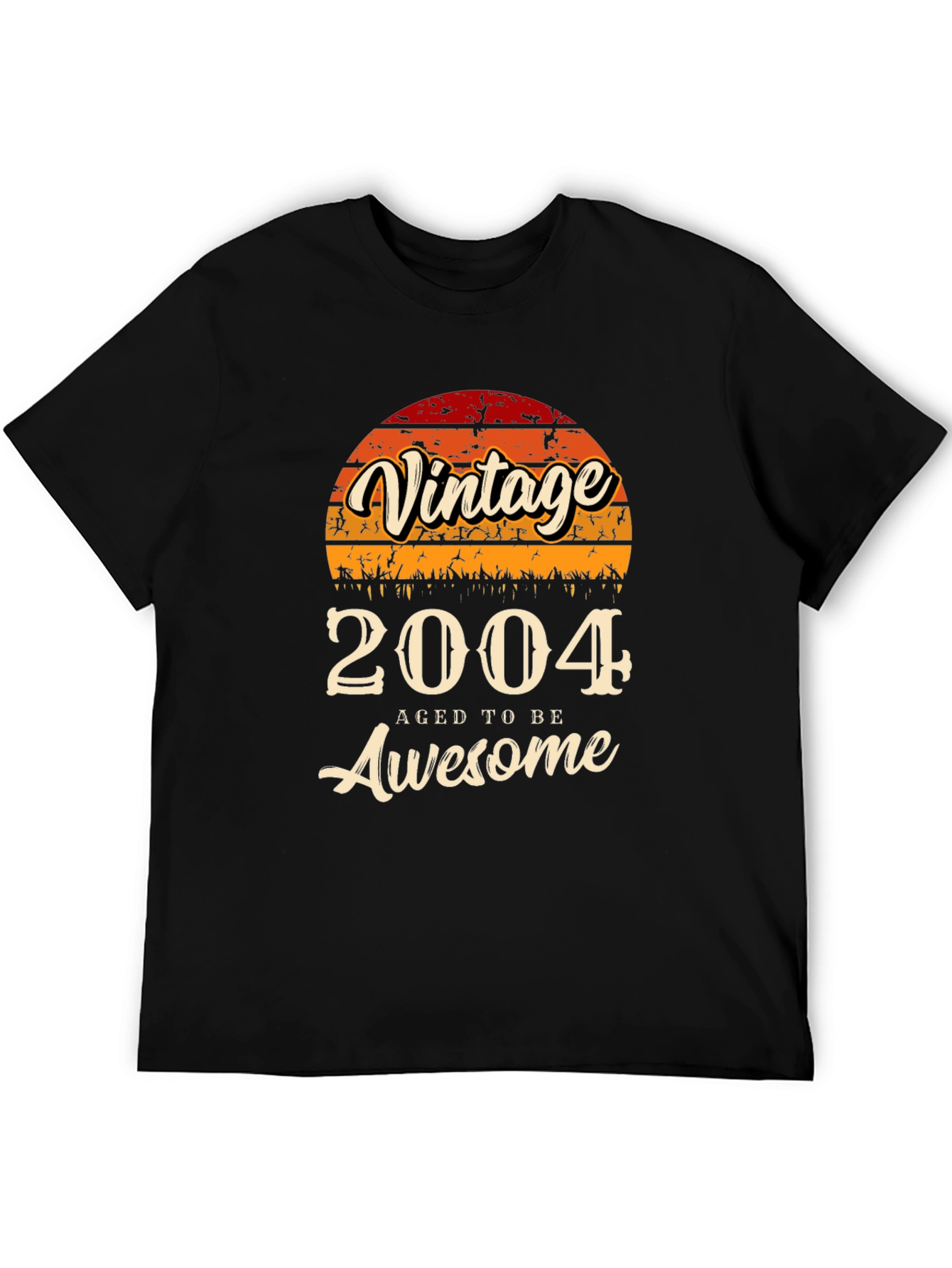Vintage 2004 Aged to be Awesome T-Shirt