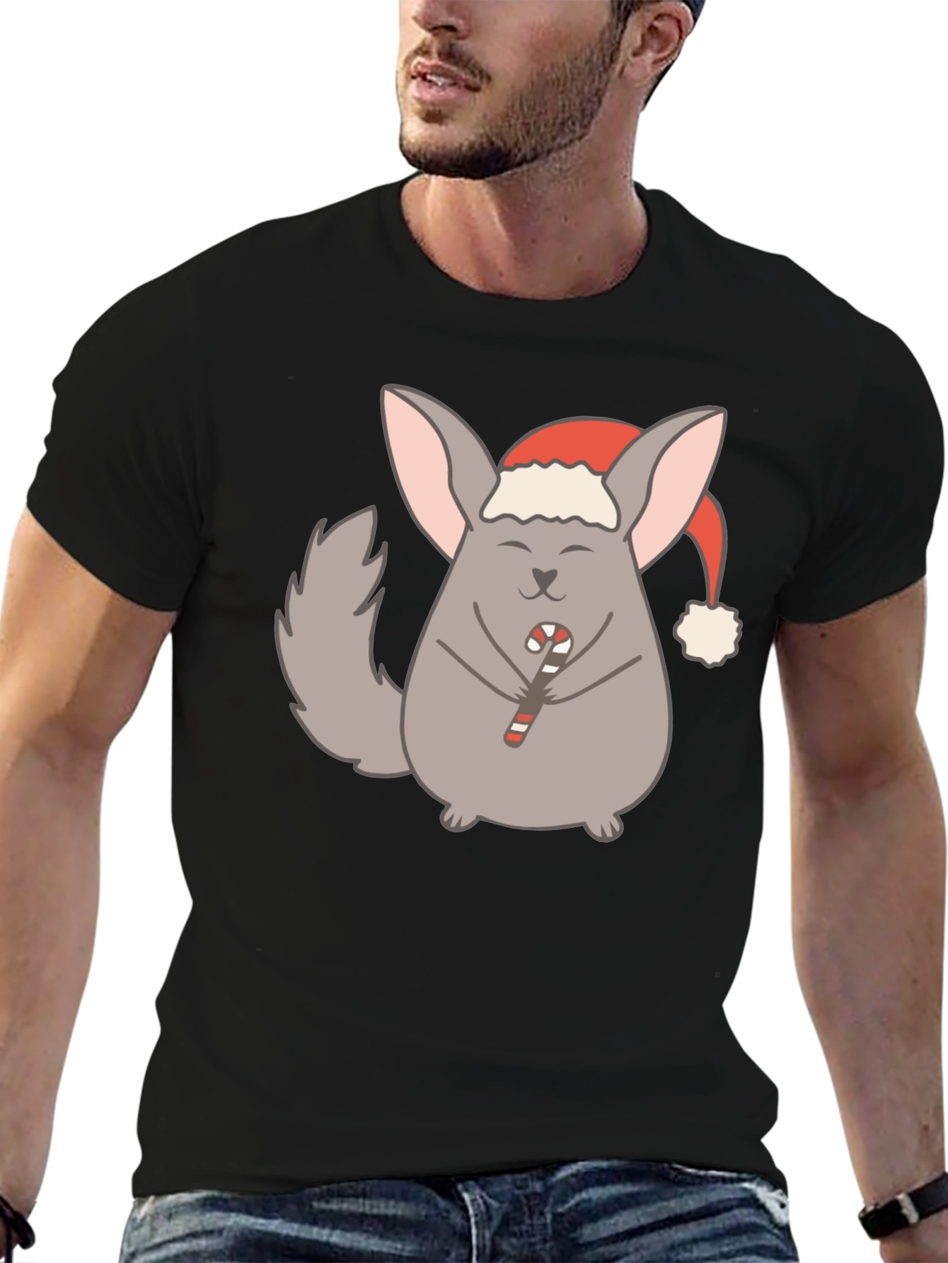 Festive Chinchilla Graphic Tee - Holiday Edition