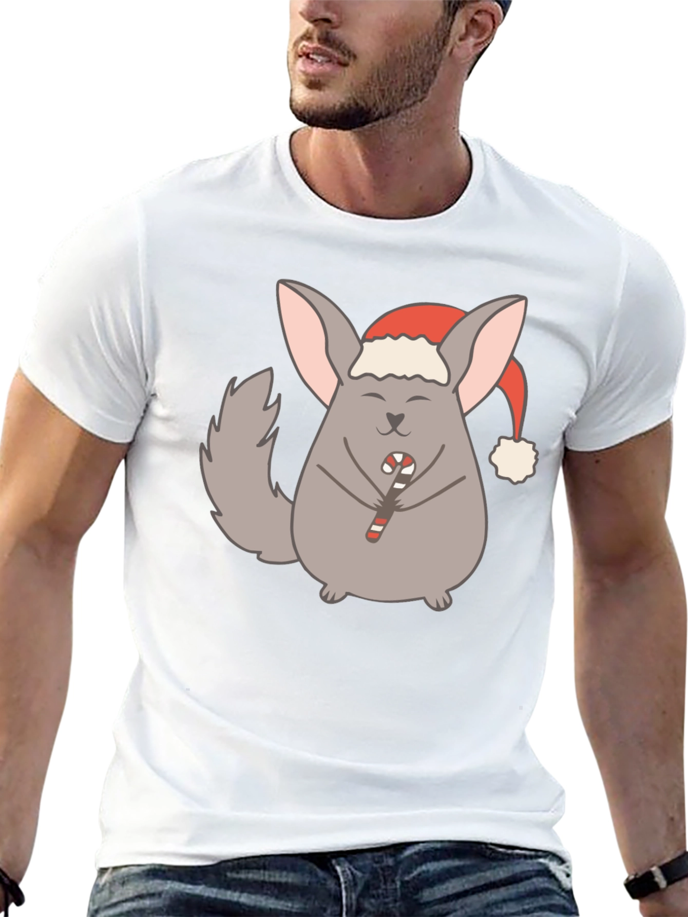 Festive Chinchilla Graphic Tee - Holiday Edition