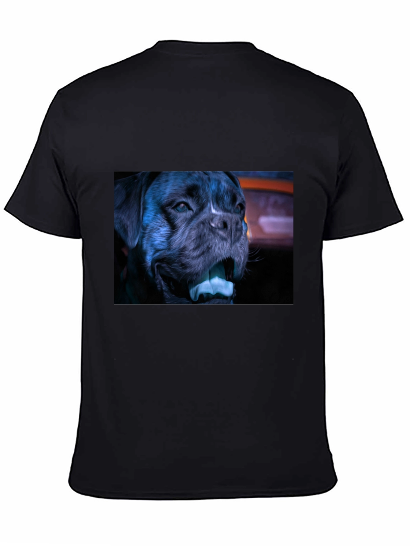Cool Dog Graphic T-Shirt