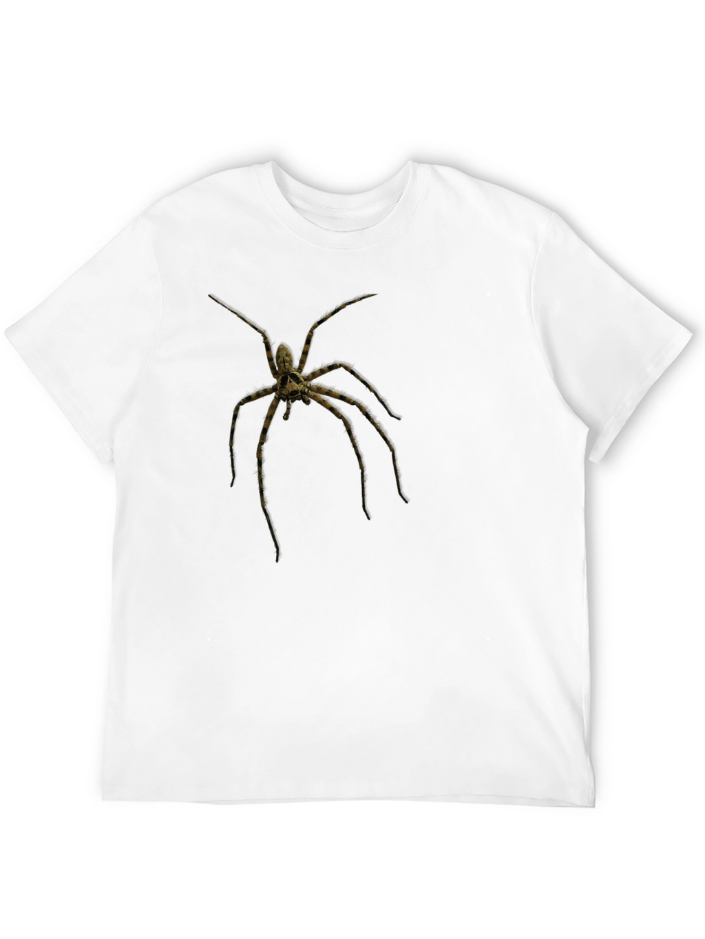 Creepy Spider Graphic Tee - Black Cotton