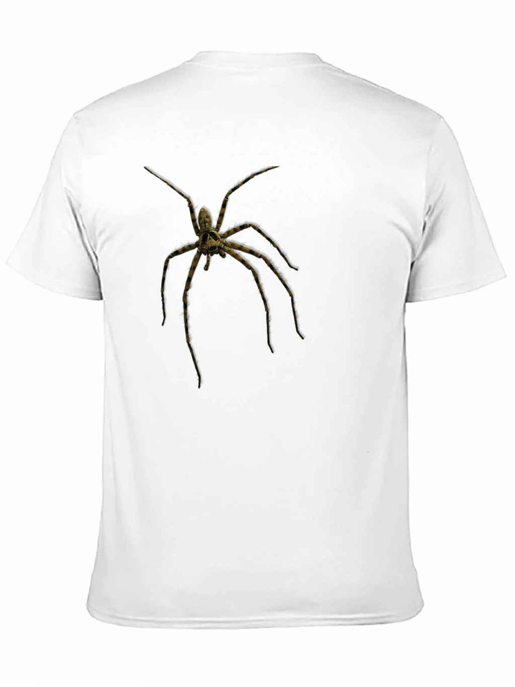 Creepy Spider Graphic Tee - Black Cotton