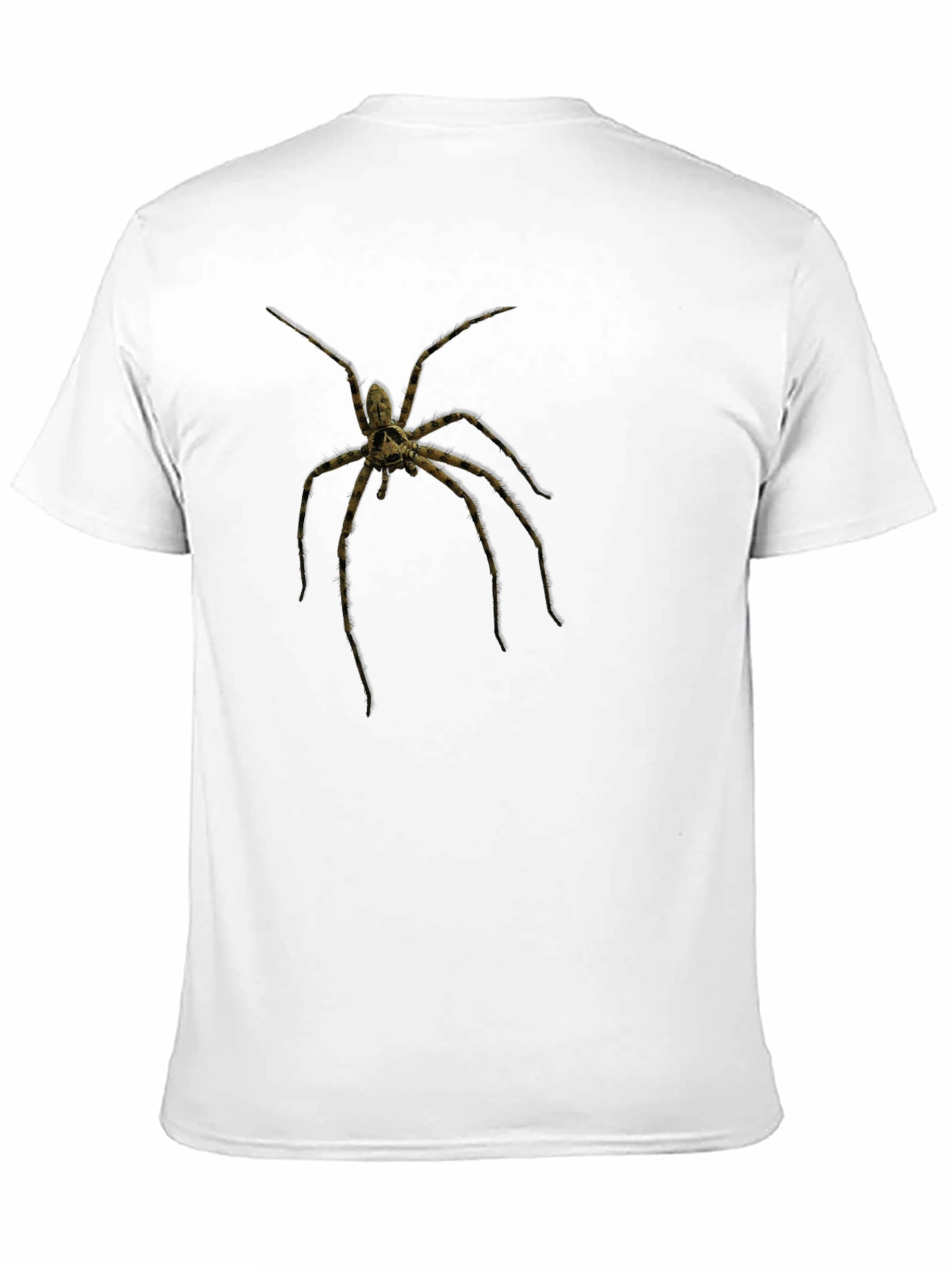 Creepy Spider Graphic Tee - Black Cotton