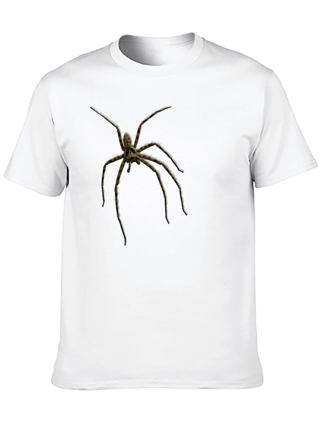 Creepy Spider Graphic Tee - Black Cotton