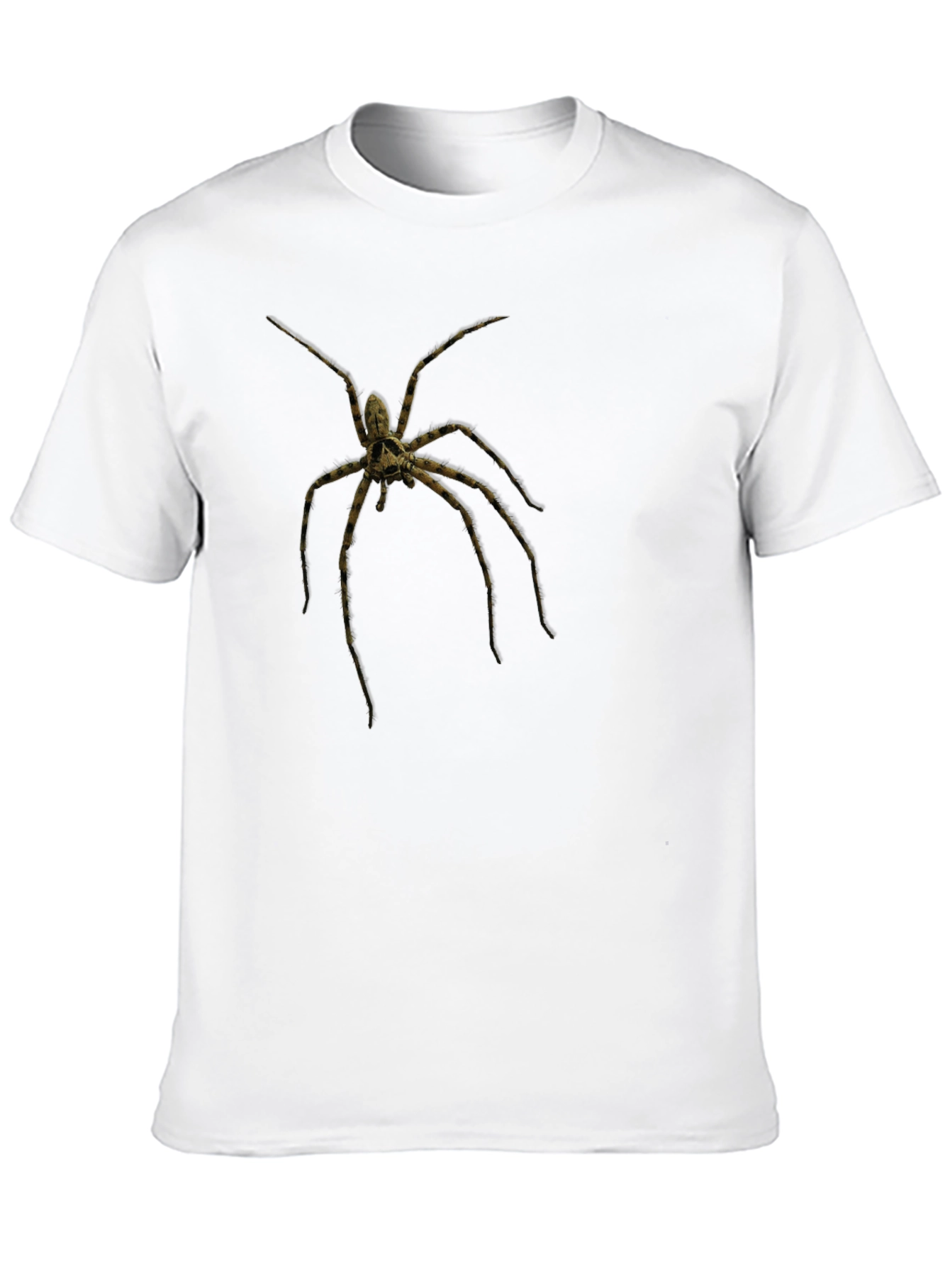 Creepy Spider Graphic Tee - Black Cotton
