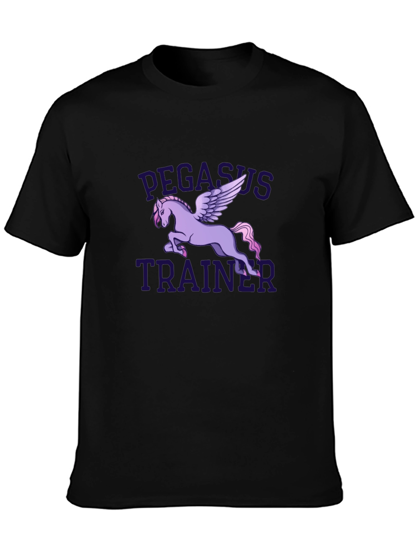 Pegasus Trainer Graphic T-Shirt