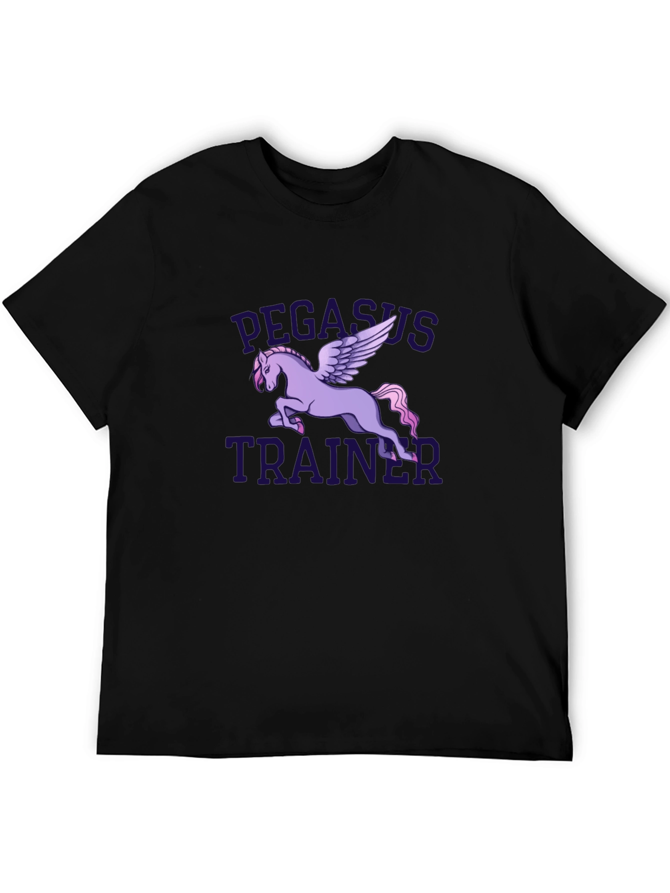 Pegasus Trainer Graphic T-Shirt