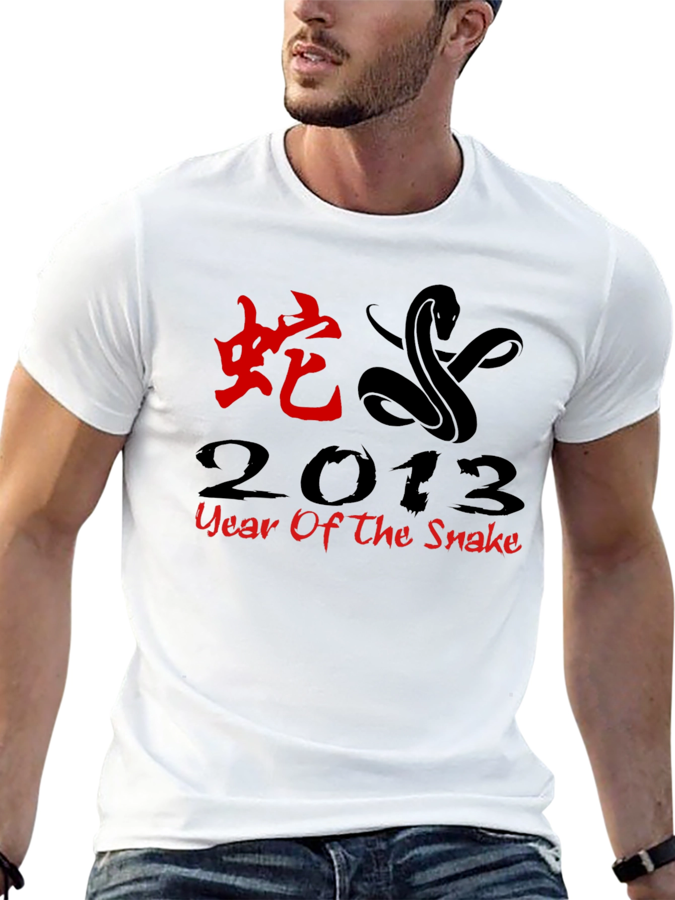 Year of the Snake 2013 Black T-Shirt