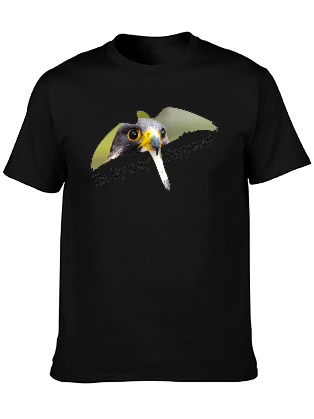 Hawk Graphic Tee: The Sky Is My Playground