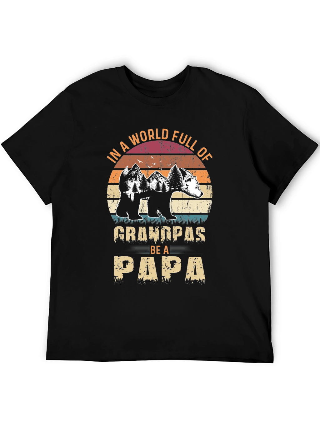 Grandpas Be A Papa Graphic T-Shirt