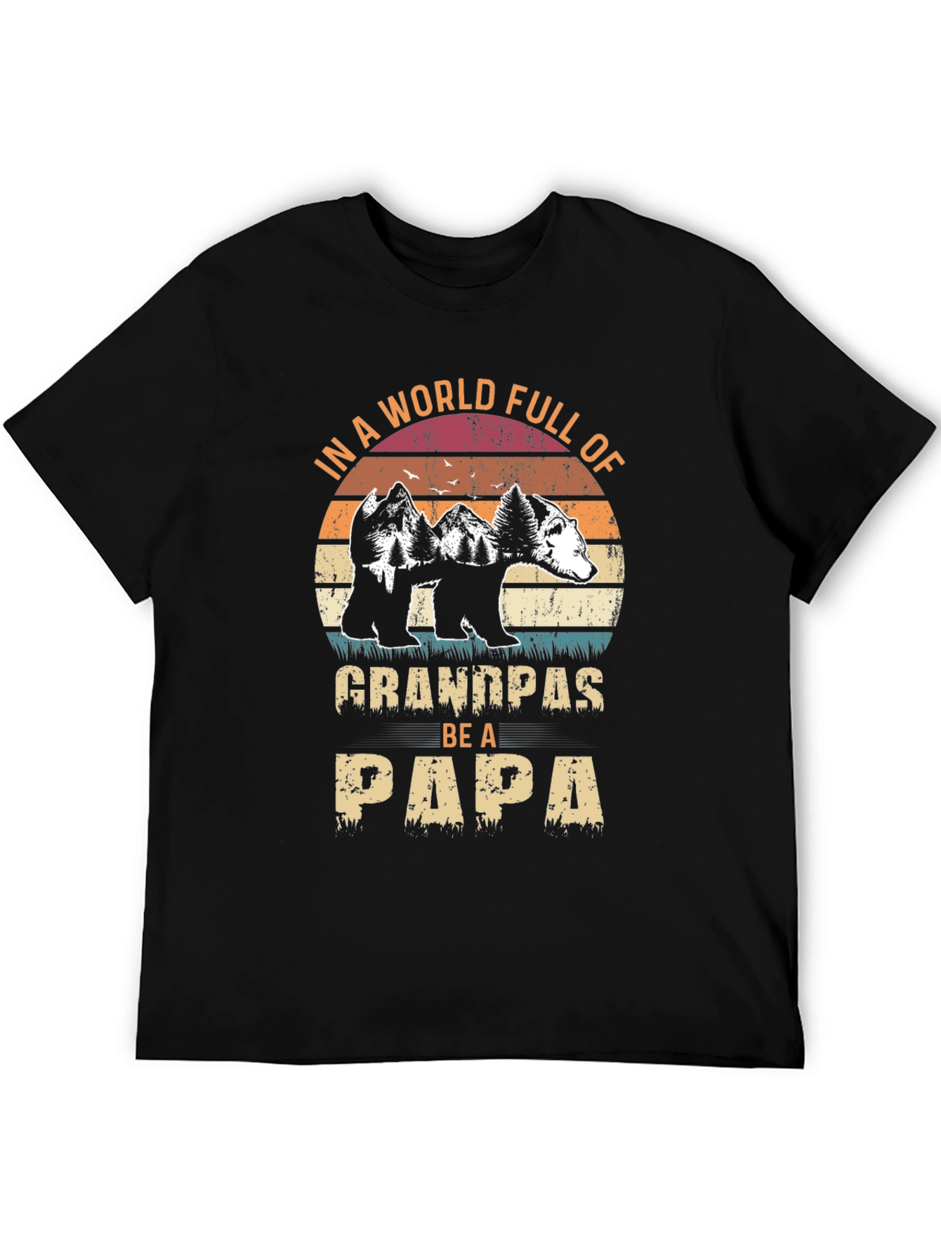 Grandpas Be A Papa Graphic T-Shirt