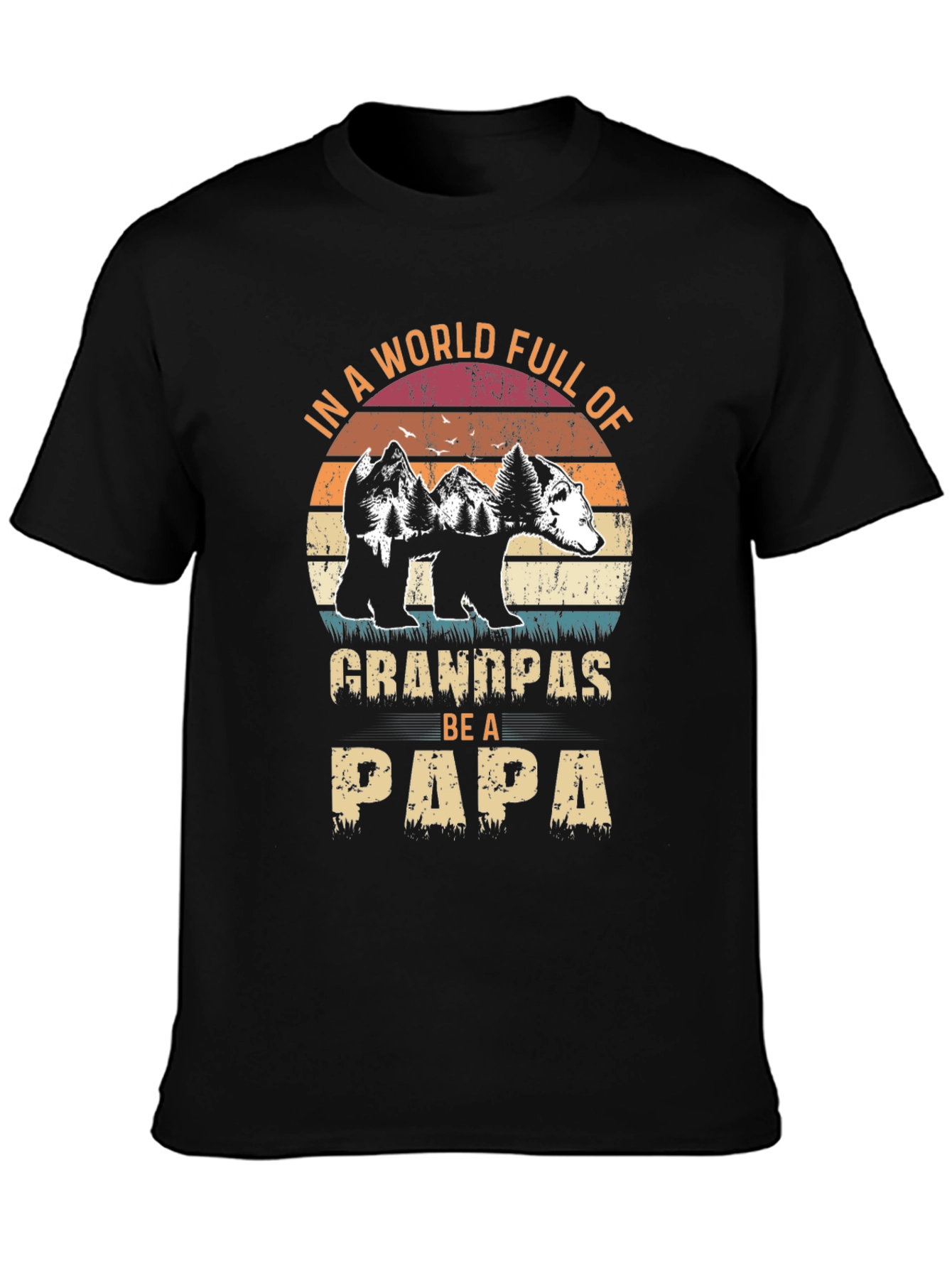 Grandpas Be A Papa Graphic T-Shirt