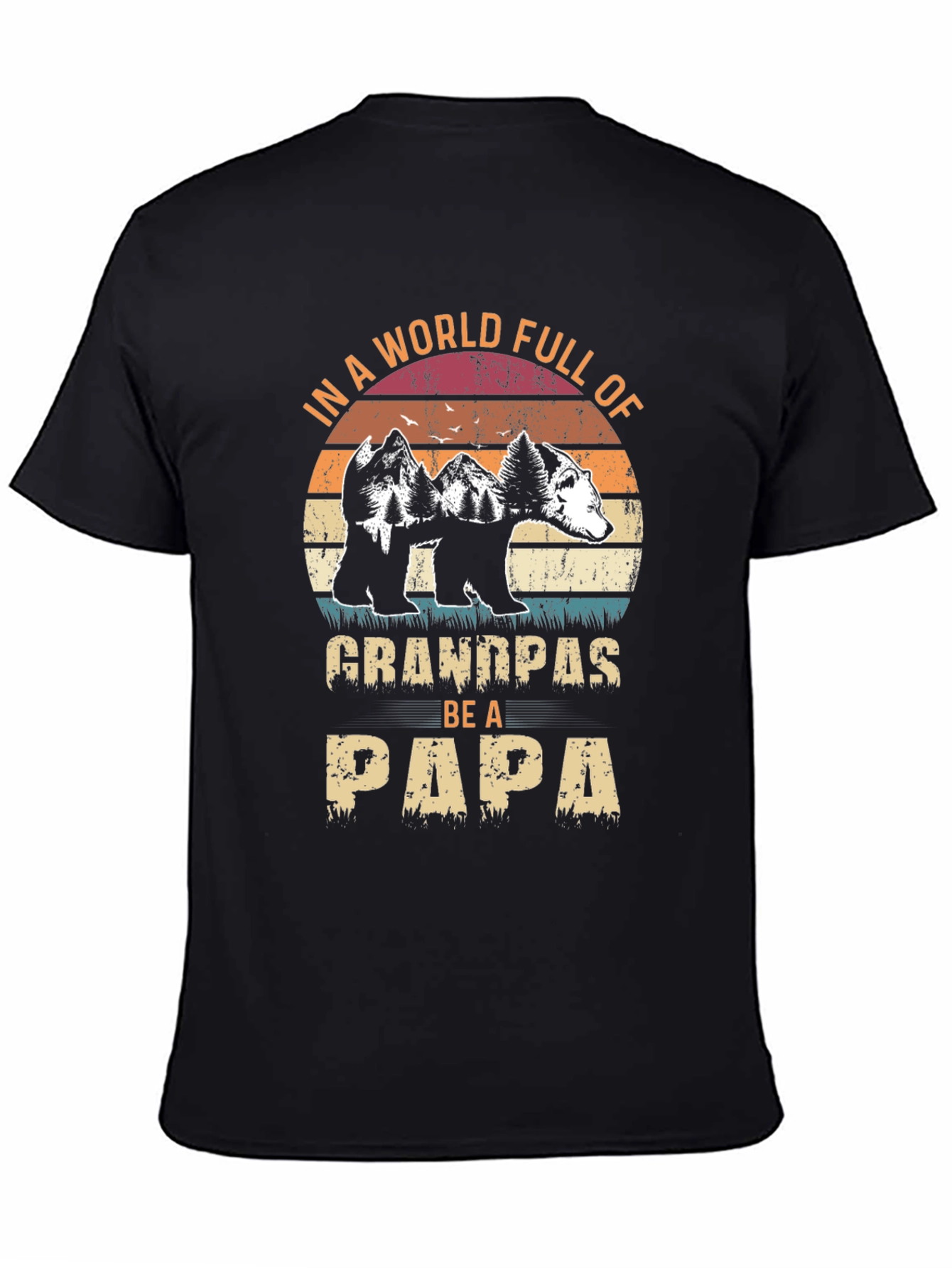 Grandpas Be A Papa Graphic T-Shirt