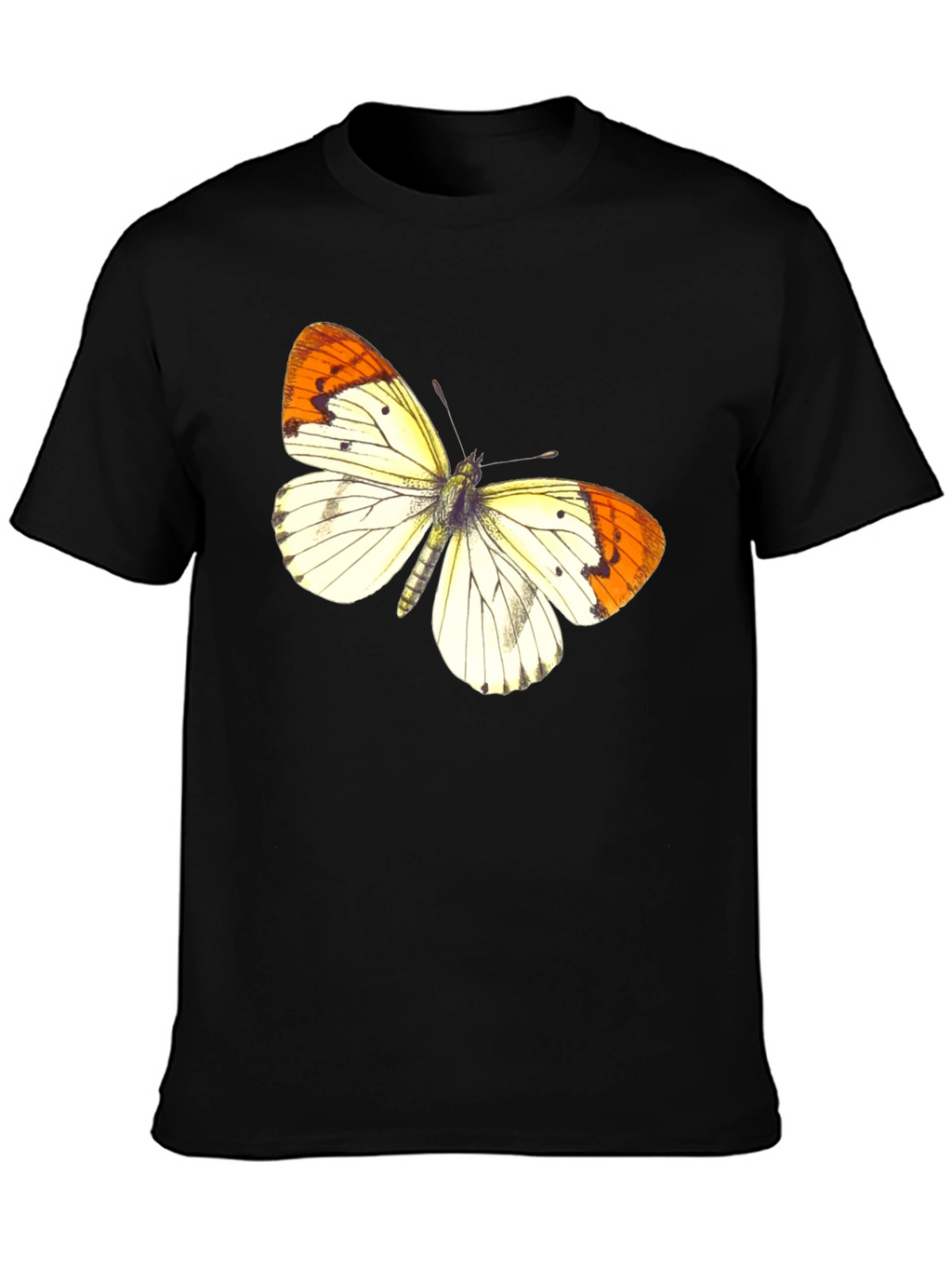 Butterfly Graphic Print Black T-Shirt