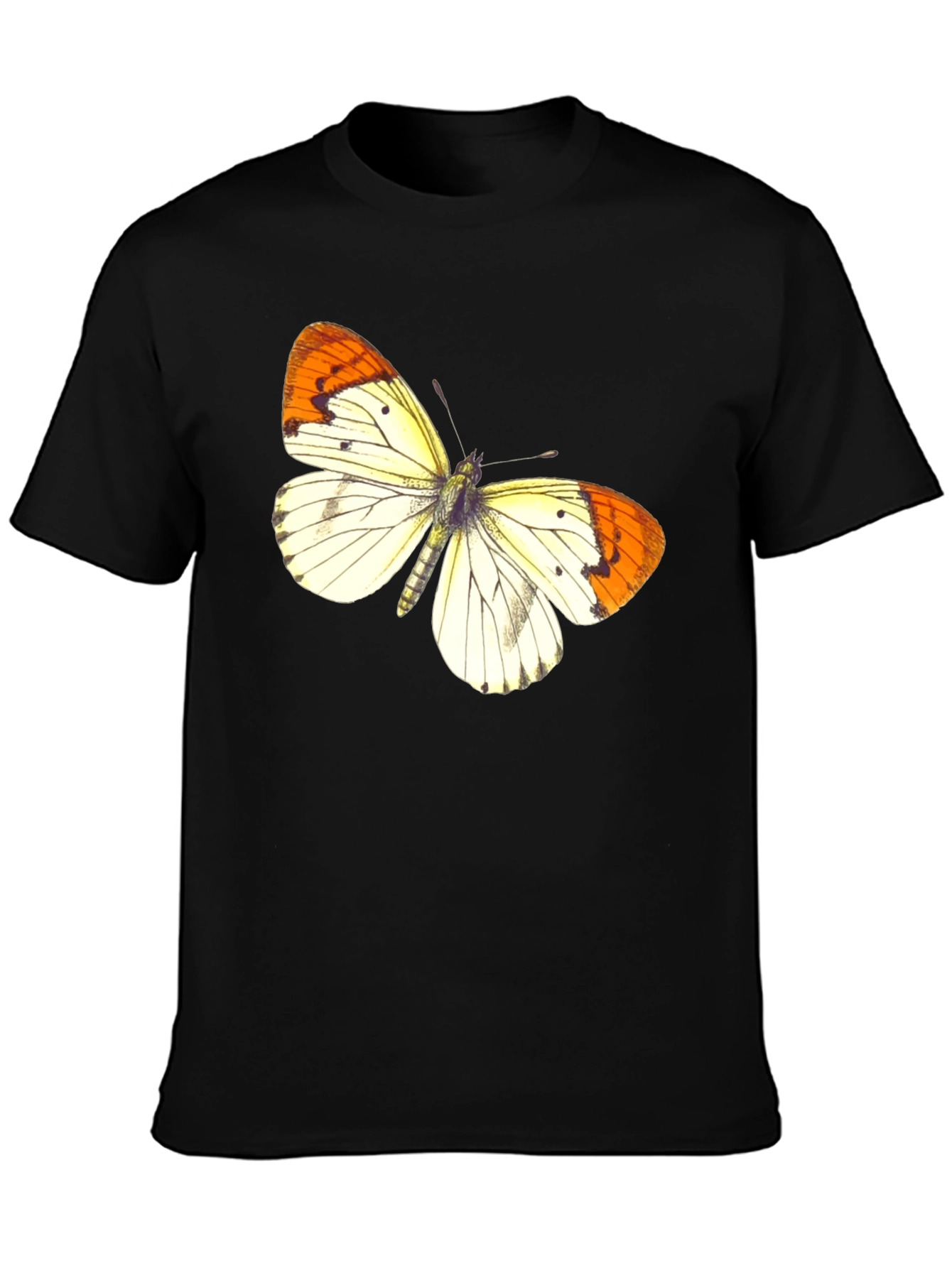Butterfly Graphic Print Black T-Shirt