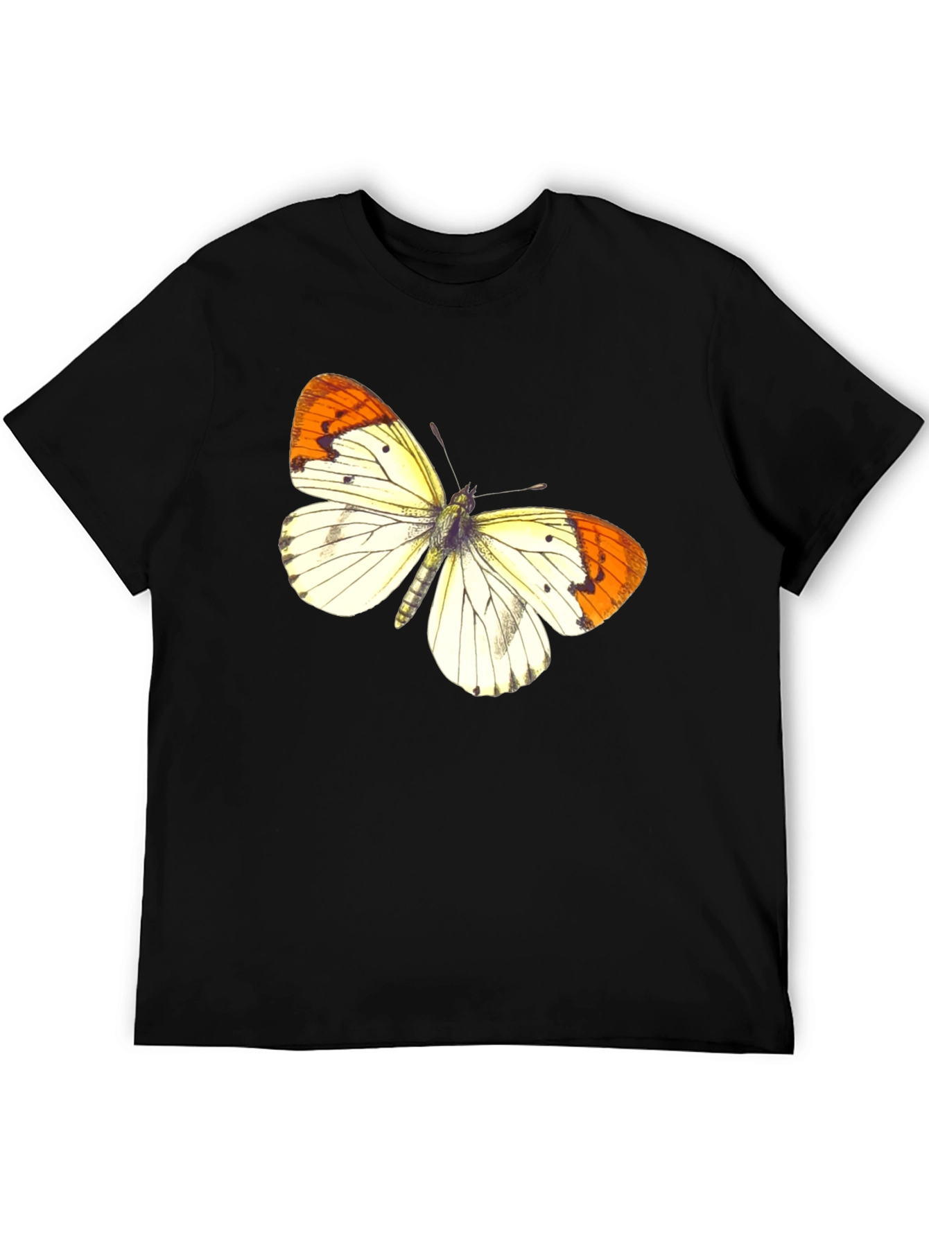 Butterfly Graphic Print Black T-Shirt
