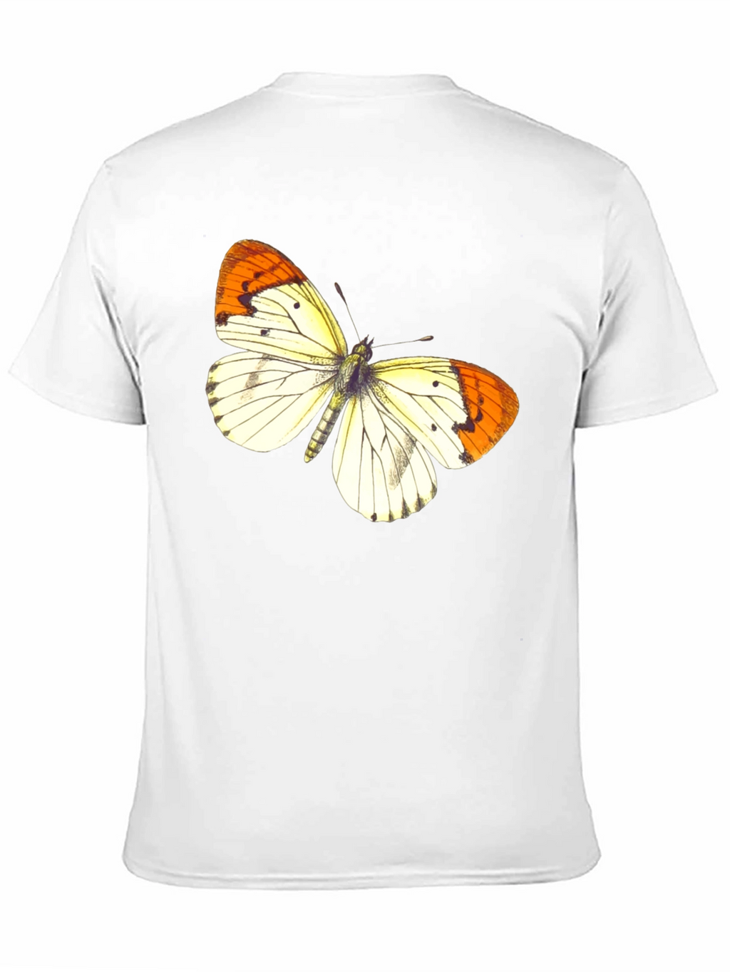Butterfly Graphic Print Black T-Shirt