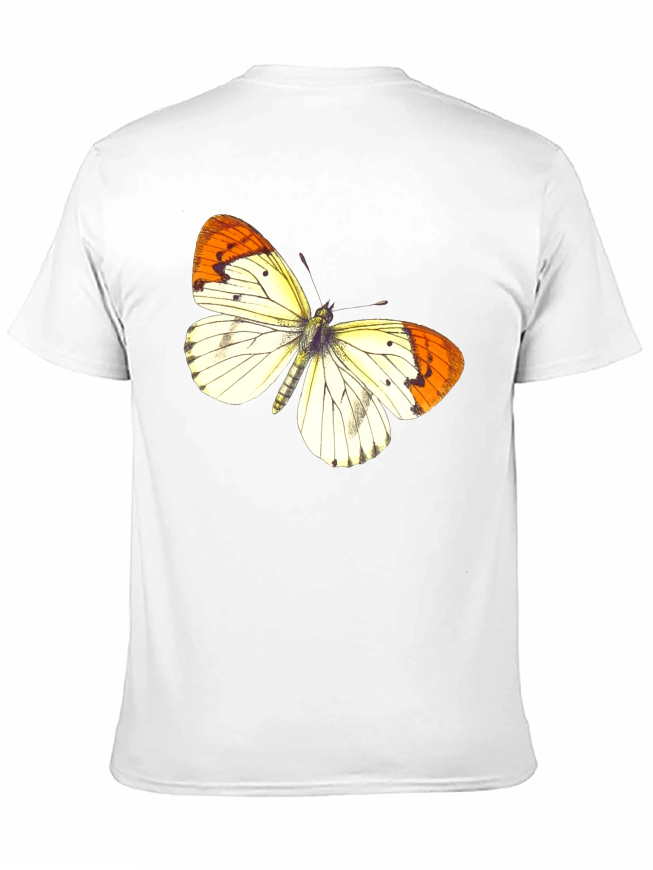 Butterfly Graphic Print Black T-Shirt
