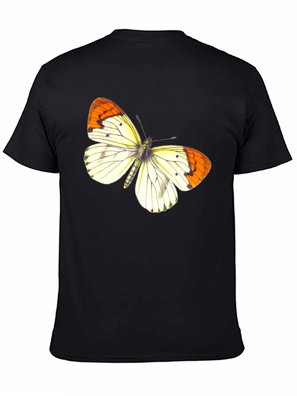 Butterfly Graphic Print Black T-Shirt