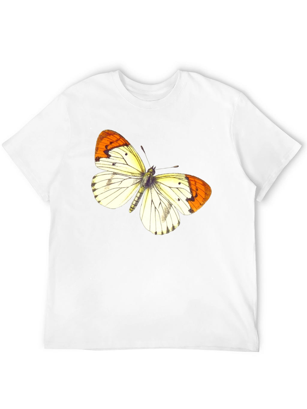 Butterfly Graphic Print Black T-Shirt