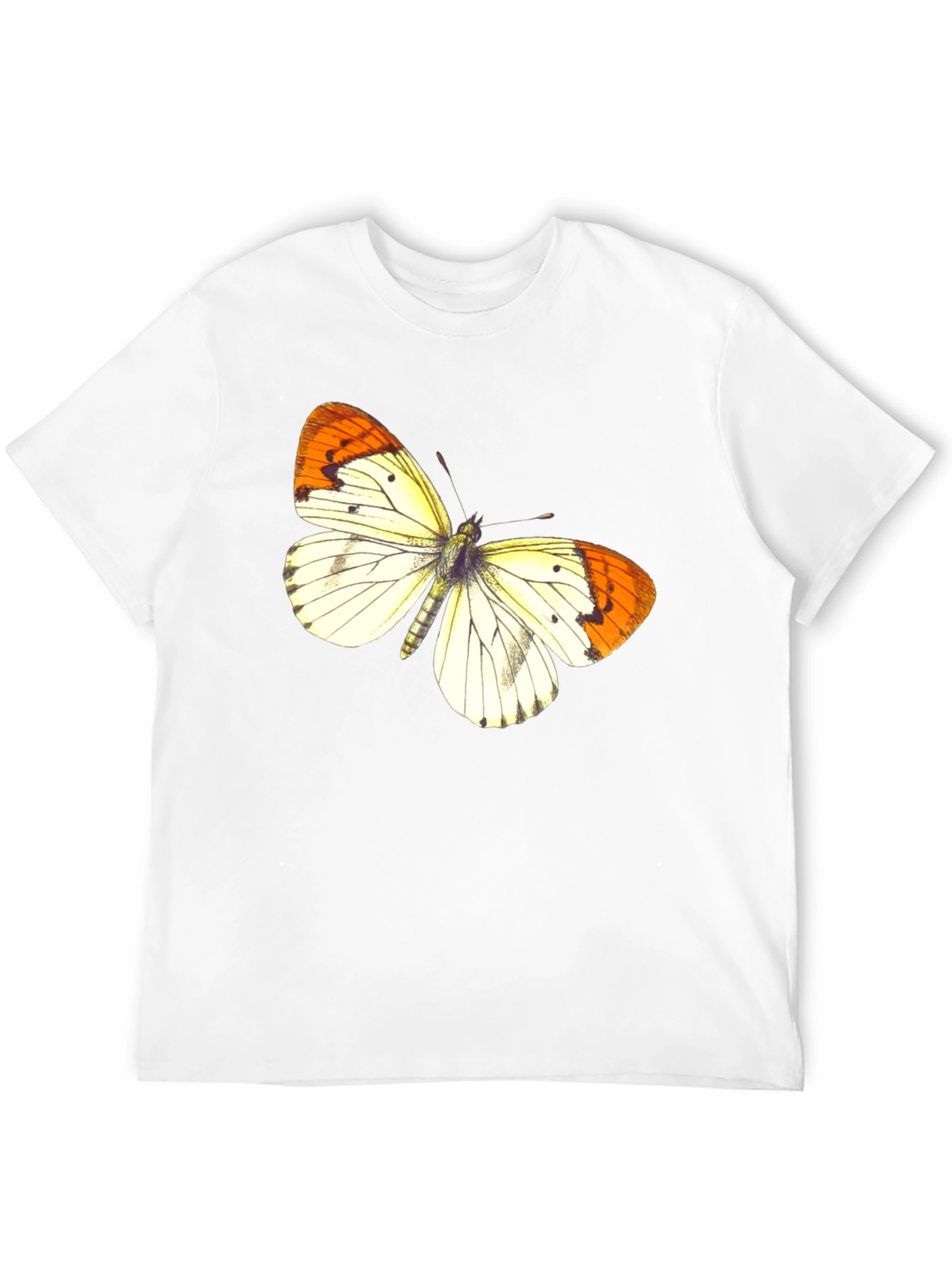 Butterfly Graphic Print Black T-Shirt