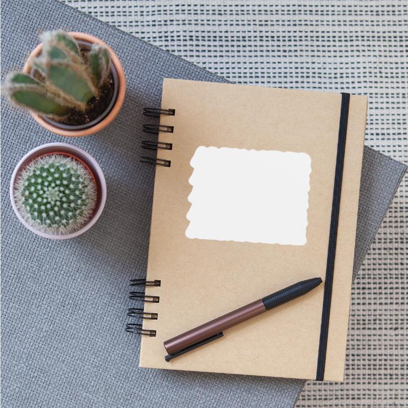 Alexander Name Personalized First Surname