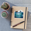 Aquatic Wildlife Reflection Design