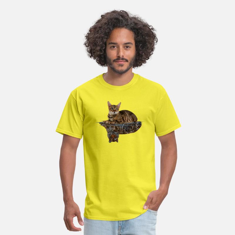 Cat Looking in the Mirror