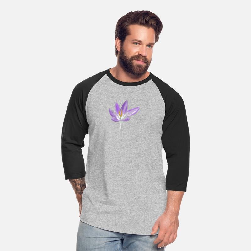 Crocus drawing