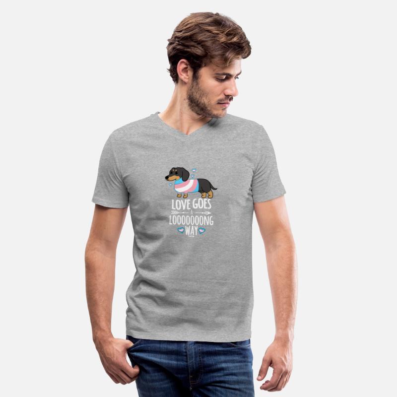 Cute dog breed dachshund animal love