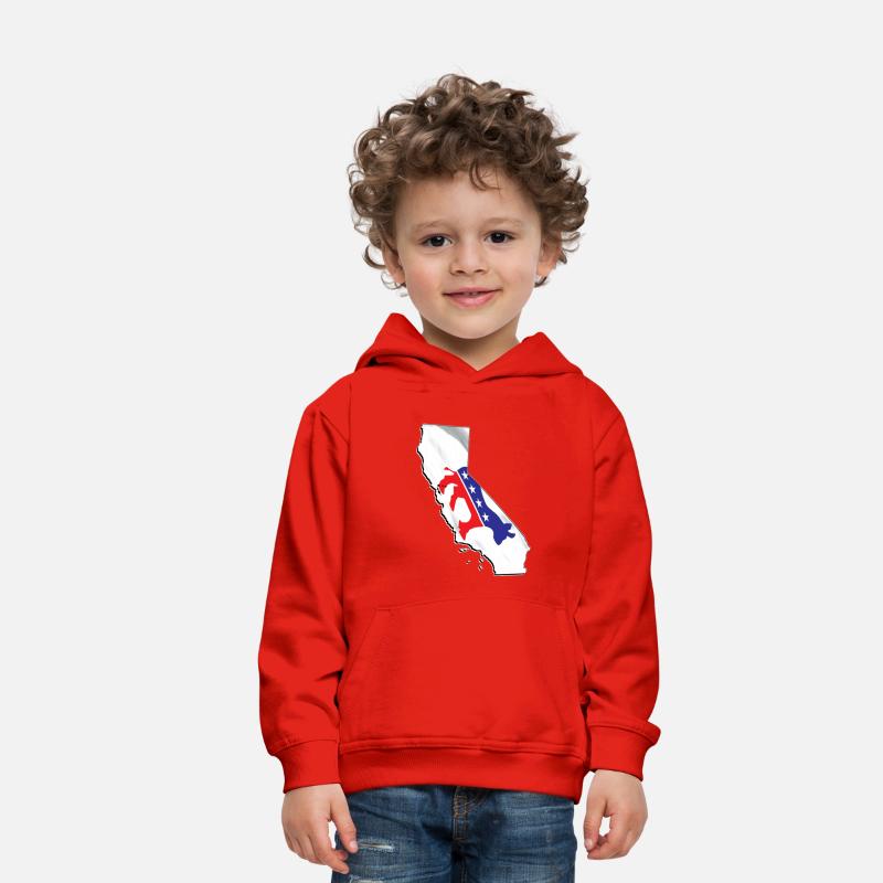 Democrat Flag in California State Map