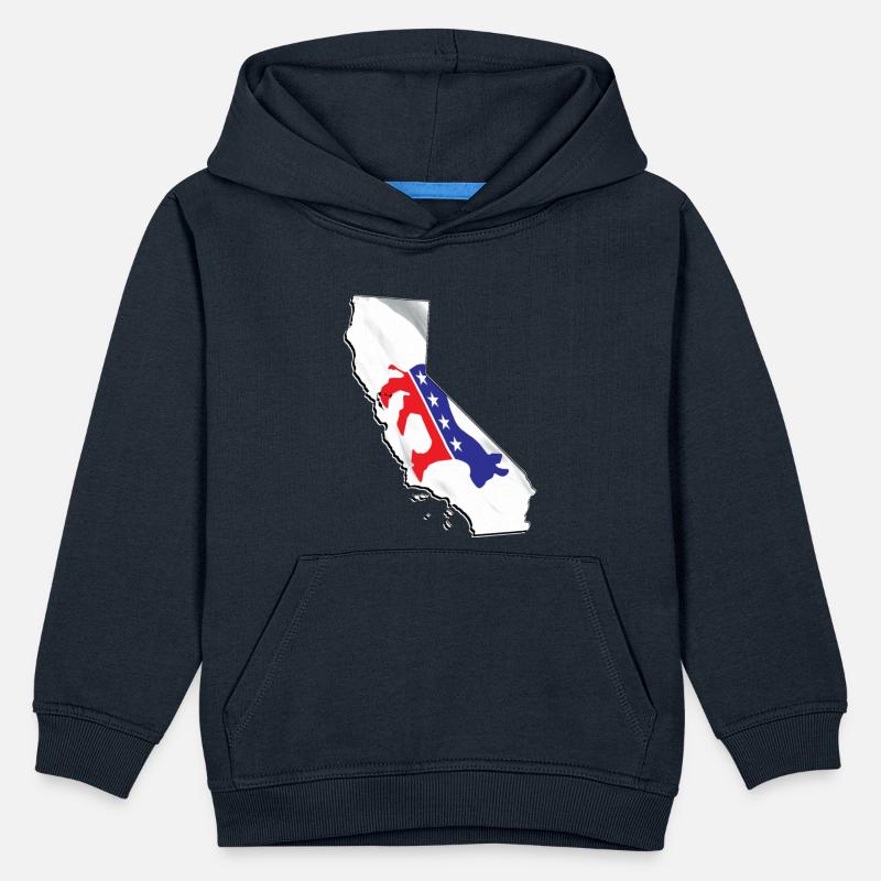 Democrat Flag in California State Map