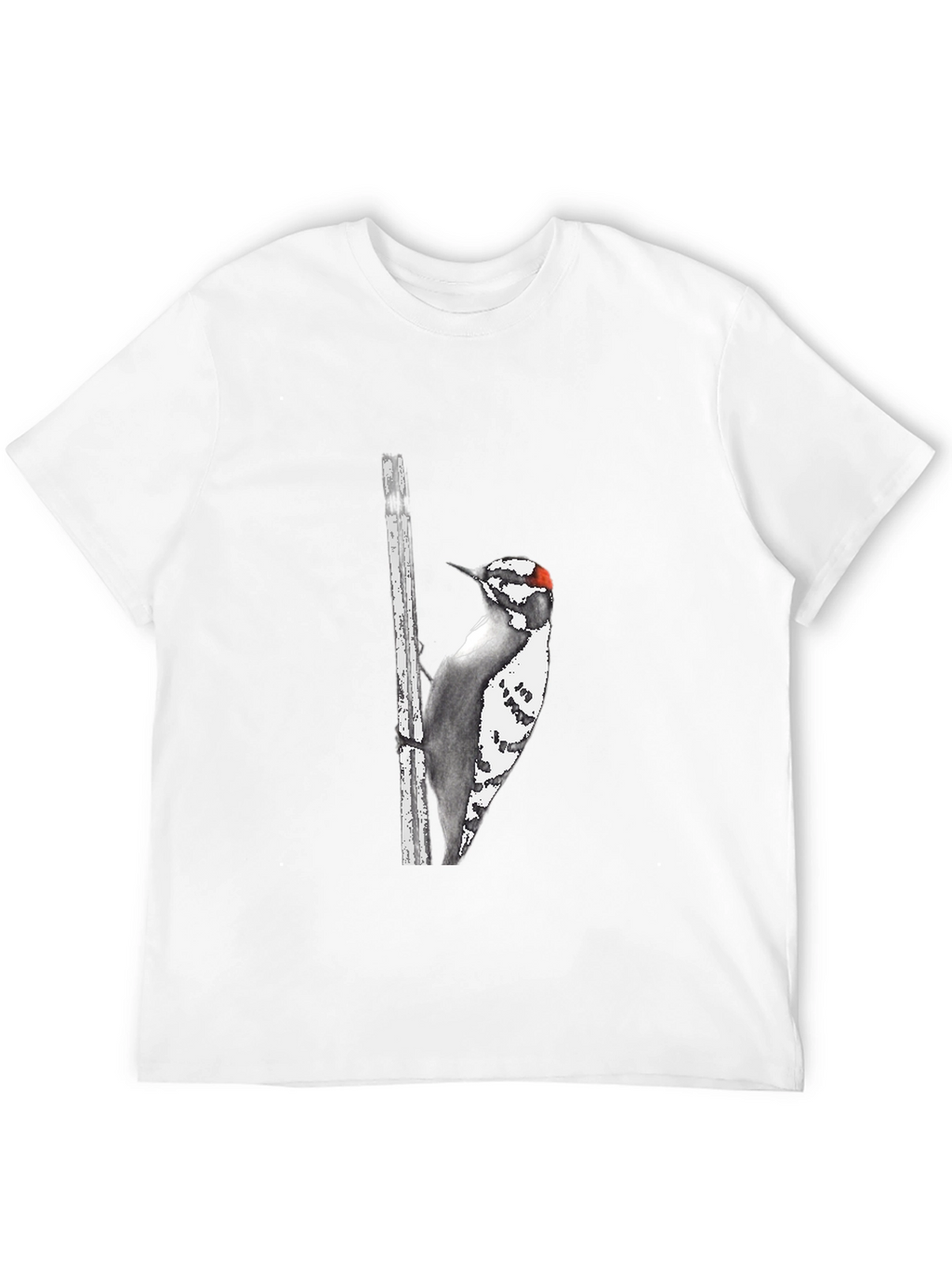Downy Woodpecker Graphic Tee - Black