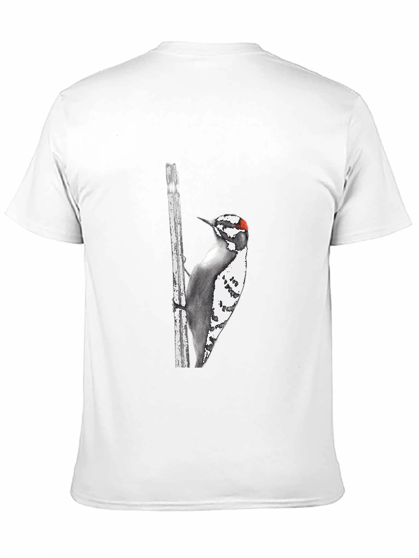 Downy Woodpecker Graphic Tee - Black
