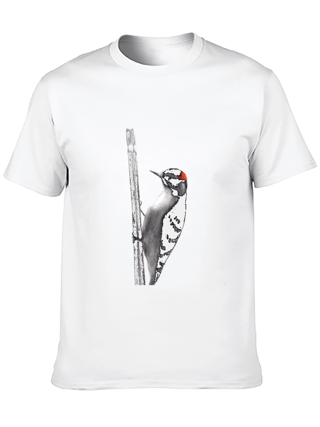 Downy Woodpecker Graphic Tee - Black