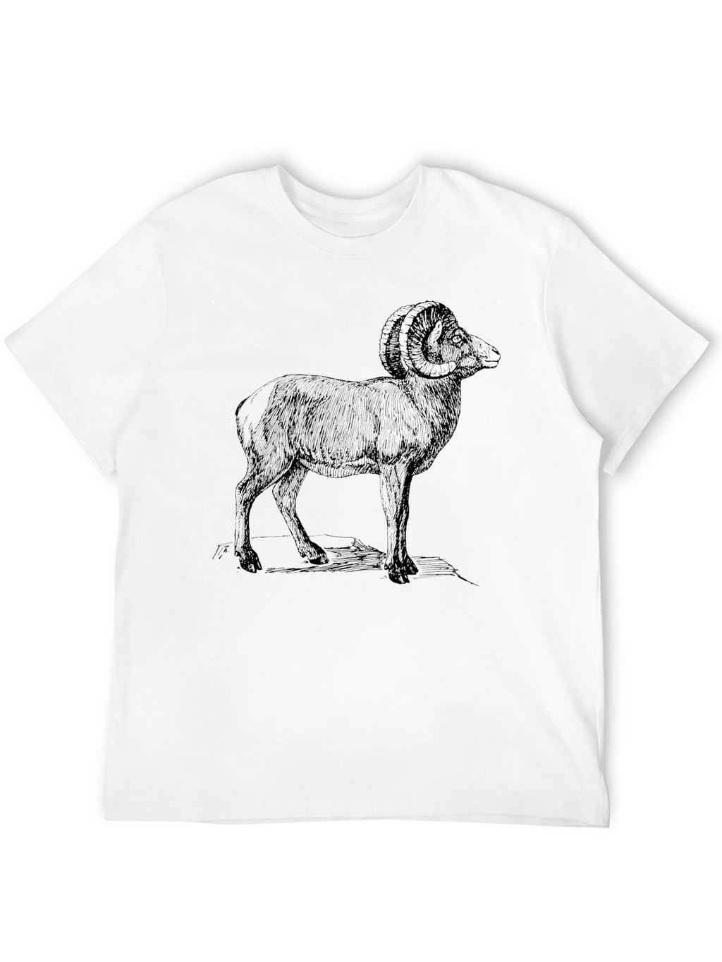 Ram Graphic Print Black T-Shirt