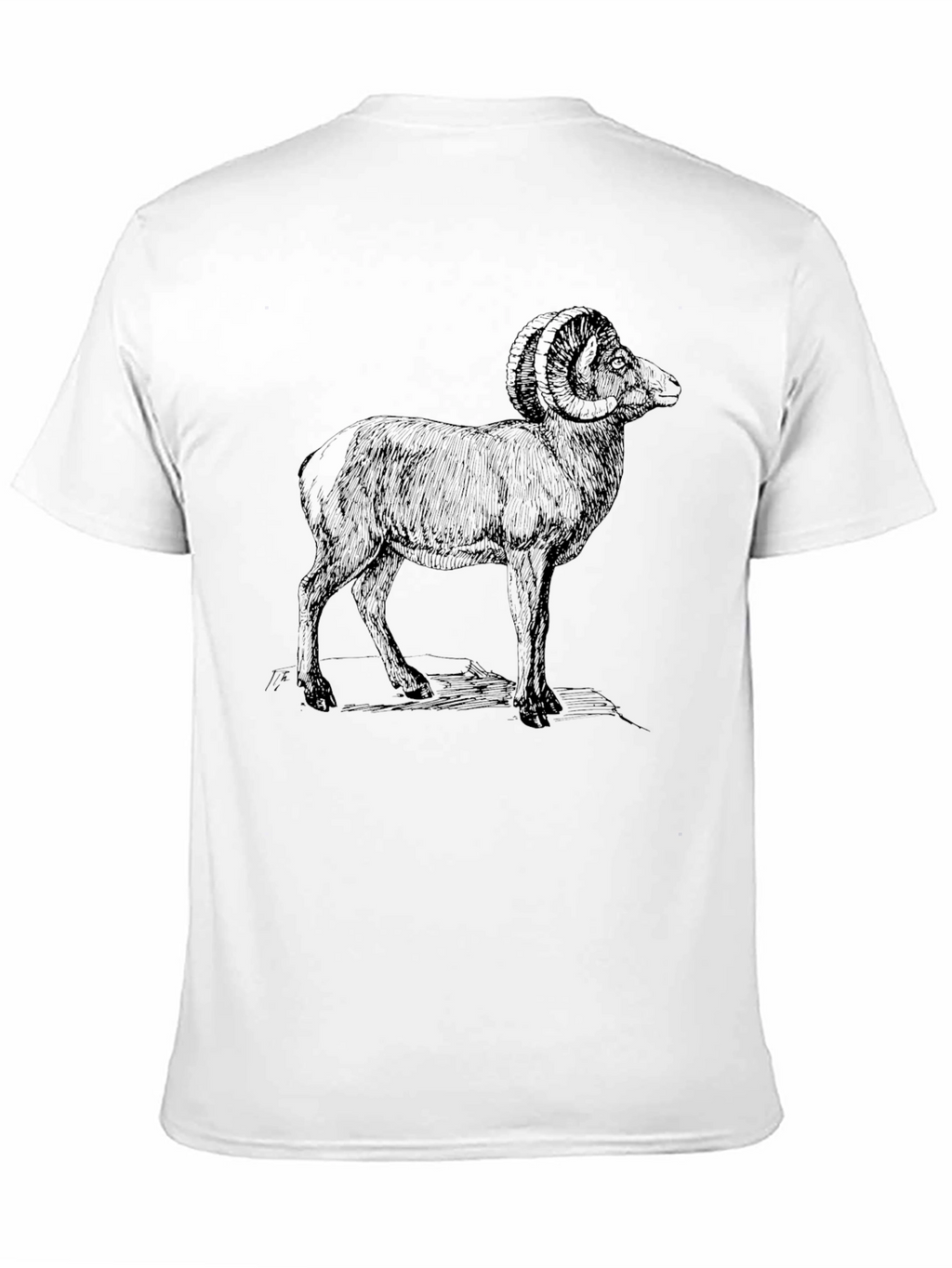 Ram Graphic Print Black T-Shirt
