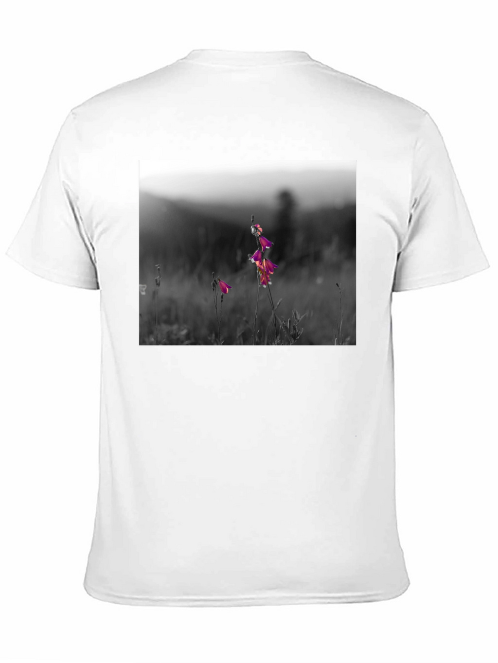 Floral Meadow Graphic Tee - Black Cotton Blend